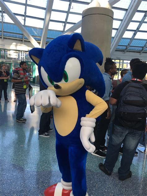Sonic mascot outfit up for sale